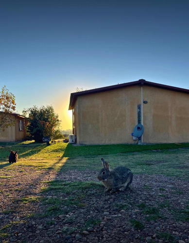 Posada Granja, Posada Del Pio