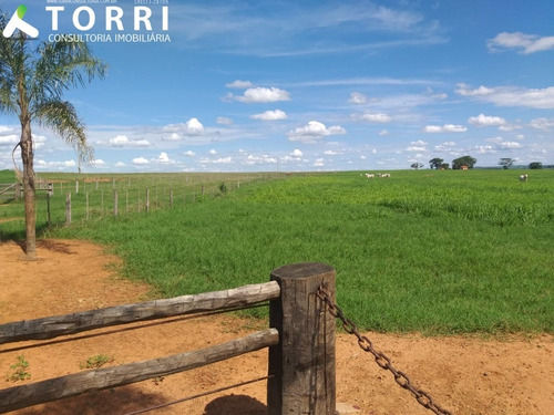 Imagem 18 de 20 de Fazenda À Venda Em Alto Alegre - Fa00176 - 69382951