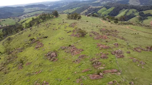 Imagem 26 de 26 de Fazenda 62 Alqueires, Sem Benfeitorias, Rica Em Água Com Lago E Nascentes, Pasto, Excelente Para Criação De Gados, Topografia Semi Plano - Fa00218 - 70653398