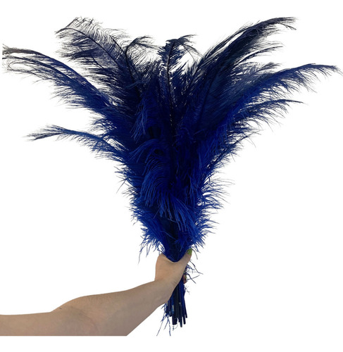Plumas De Avestruz Palito 100g Decoração Artesanato Colorida Cor Azul Royal