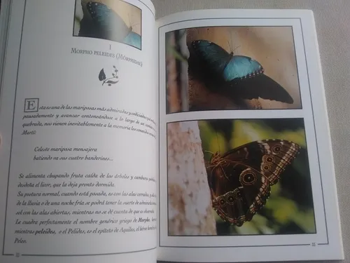 Mariposas De Caracas (Usado)