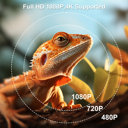 180° Proyector Inteligente Android 11 Con Enfoque Automático