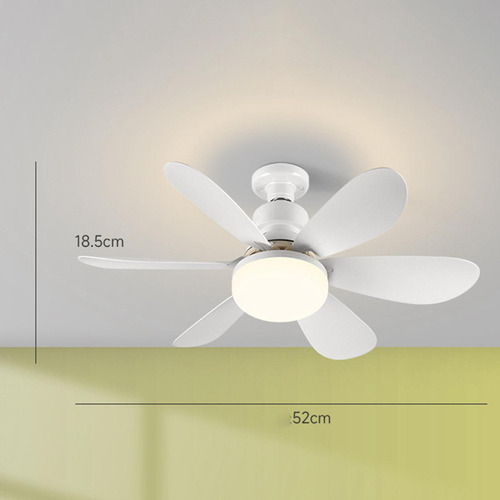 D Luz De Ventilador De Techo Con Zócalo, Ventilador De Techo