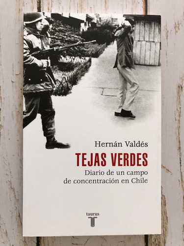 Tejas Verdes / Hernán Valdés