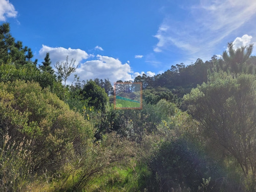 Imagen 4 de 23 de Campo Turístico 38 Hás En Zanja Del Tigre