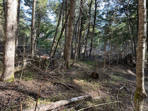 Excelente Lote Con Vista Parcial Al Lago Nahuel Huapi, Loteo Parque Arauco, Villa La Angostura