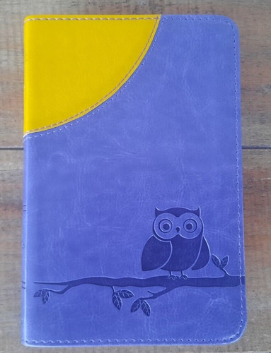 Imagen 3 de 10 de Compact Bible Esv Moonlight Owl Purple Yellow