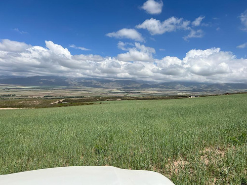 Terreno En Venta La Carrera - San José - Tupungato - Mza