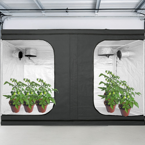 Carpa De Cultivo Armario Indoor Invernadero Green Film Autocultivo 300x150x200 Grow Color Negro Interior Tela Mylar Reflectante Cultivar Plantas Flores