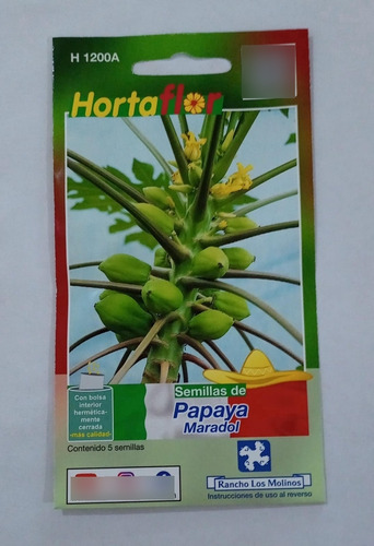 Semillas De Papaya Maradol