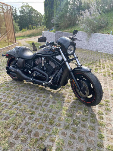 Harley Davidson Night Rod Special
