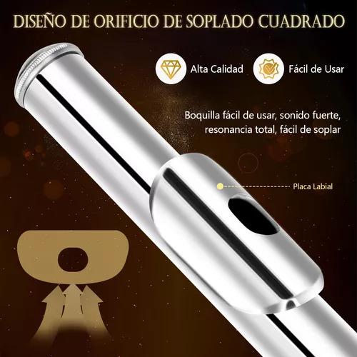 Flauta Transversal De 16 Llaves En Do Ideal Para Músicos Plateado