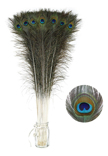 Soarer Plumas Largas De Pavo Real A Granel: 25 Plumas De 32.