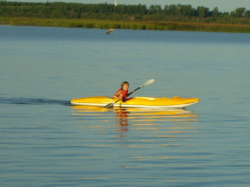 Matrices De Kayaks
