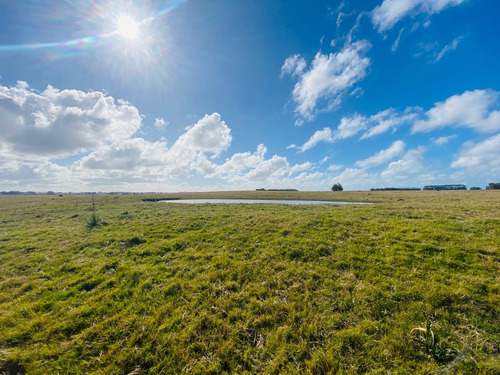 Imagen 3 de 14 de Campo En Venta De 150000m2 Ubicado En Maldonado