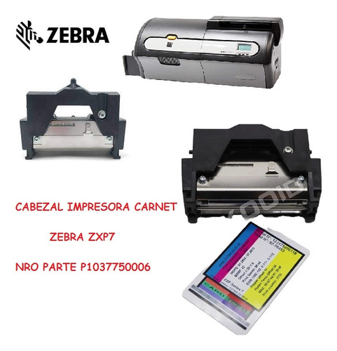 Cabezal  Impresion Impresora Carnet Zebra Zxp7