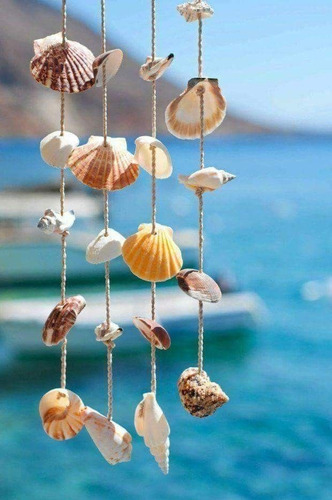 Imagen 8 de 10 de Caracolas Y Conchas Marinas Para Velas De Gel - 12 Piezas