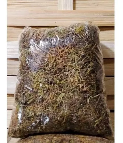  Hierba verde musgo artificial de 10 onzas, musgo natural para  plantas falsas de interior para decoración del hogar y la oficina,  manualidades (verde, 10 onzas) : Arte y Manualidades