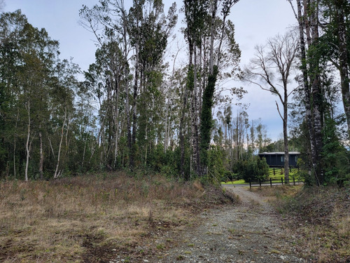 Espectacular Parcela Con Bosque En Condominio Las Tranqueras