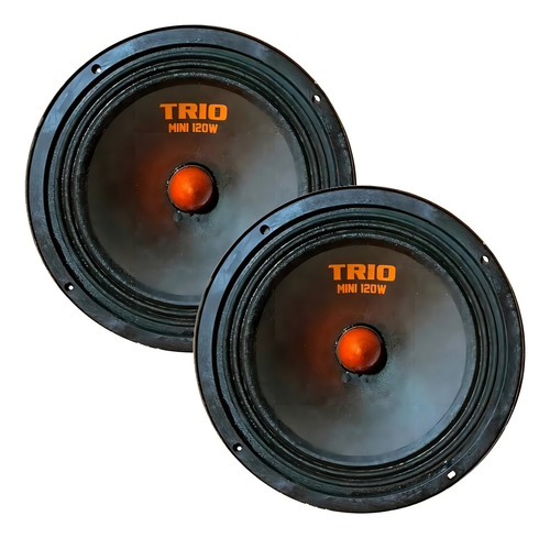 2 Alto Falantes Woofer Magnum Profissional 120w Rms 6 Pol Cor Preto