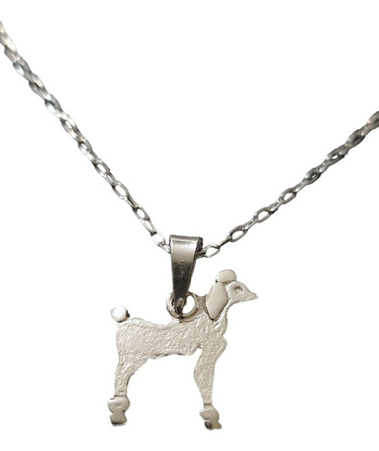 Cadena Collar Perro Caniche Poodle Mujer Plata 925 + Caja Re