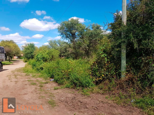 Imagen 1 de 5 de Villa De Merlo Lote De 700 M2 Zona Residencial