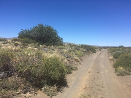 Imagen 6 de 8 de Lote En Huechulafquen Cercano A Ruta