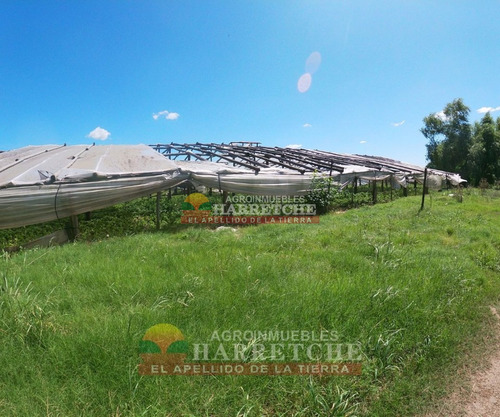 Chacra En Venta 6 Has, Casa 3 Dormitorios, Galpón, Aguadas Canelón Chico