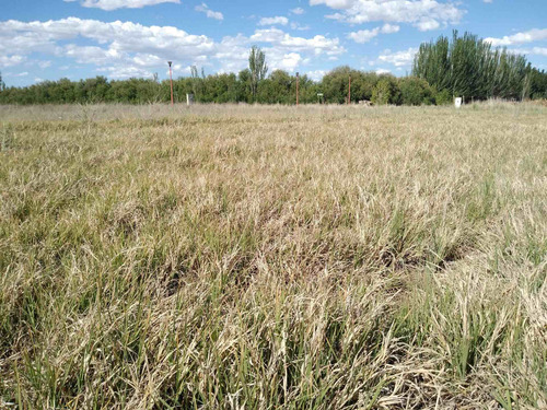 Imagen 4 de 11 de Terreno 1015 M2 Venta - Quintas De Sara F. Oro