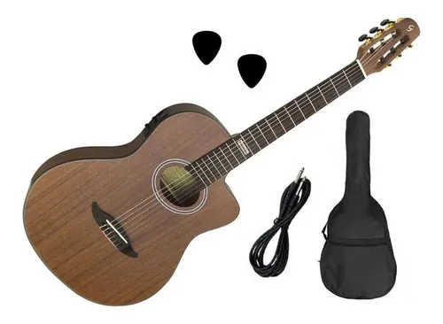 Giannini acoustik sale