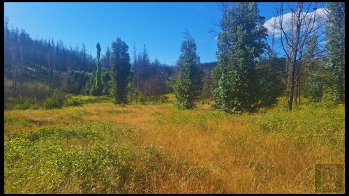 Se Venden Terrenos En Santa Juana , Rural (104525)