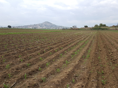 Venta De Terreno Parcela 4000m2 Cocotitlán Edo Mex