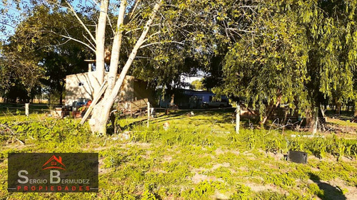 Imagen 4 de 14 de Venta-chacras-campo - Gral Lavalle-ruta 11/ Km 320