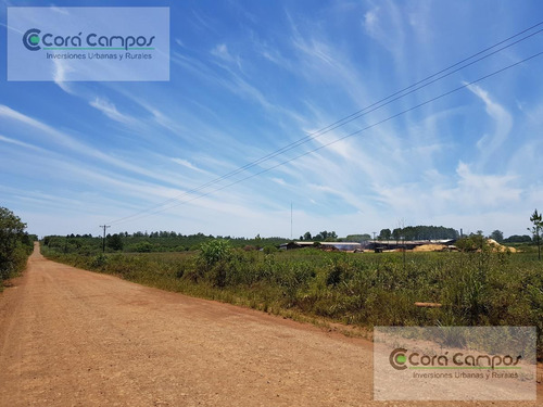 Imagen 3 de 9 de Se Vende Aserradero Funcionando. En Apósteles. Misiones
