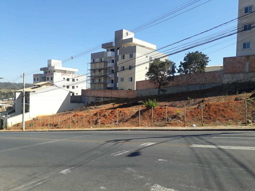 Cabral 6 Lotes De 200m² Cada Totalizando 1200m² - 3787