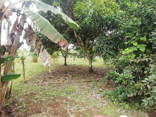 Imagen 16 de 22 de Vendo Hermosa Hacienda