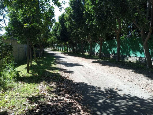 Imagen 4 de 27 de Venta De Casa