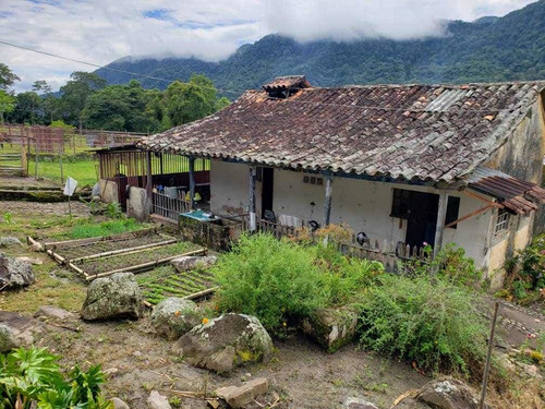 Finca Cafetera En Tachira