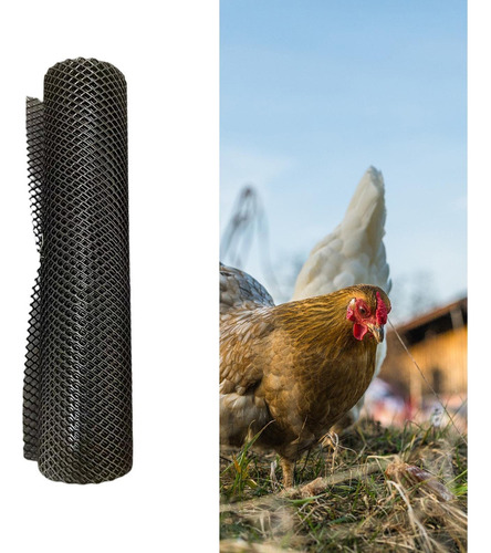 Rede De Arame Para Frango Projetos Diy Aves