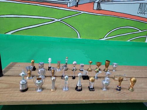 Mini Taça Campeonato Carioca Troféu Campeão Rj Cariocão