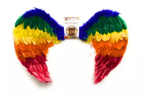 Alas Angel Arcoiris Pride Orgullo Lgbtttiq Gay Wings 80 Cms