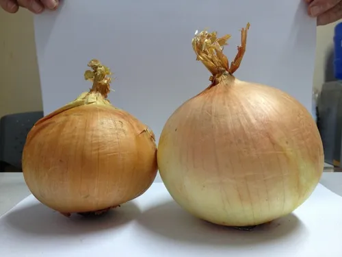Aprenda a fazer a melhor farofa de cebola de maneira fácil e descomplicada Aprenda a fazer a melhor farofa de cebola de maneira fácil e descomplicada