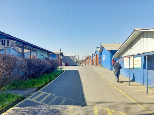 Arriendo De Bodegas En Maipú Id 55.654-lin