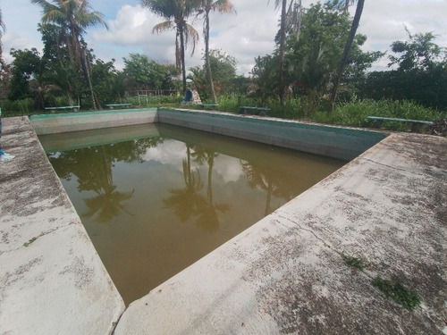Imagen 11 de 15 de Finca En Tinaquillo. Sof001. Lsl