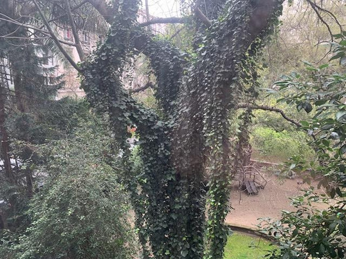 Imagen 18 de 29 de Departamento Oficina Cerca Lagos De Palermo Botanico Parque Las Heras
