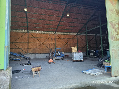 Bodega Con Oficinas Y Patio Pavimentado En Cabrero