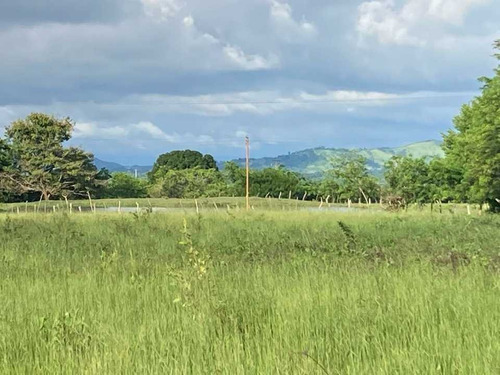 Imagen 21 de 22 de Finca En Tinaquillo Con 132 Hectáreas, Excelente Oportunidad
