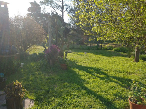 Casa Quinta En Venta En Punta Indio - 6.000 Metros Cuadrados