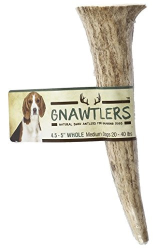 Gnawtlers Premium Elk Antlers Para Perros Naturally Shed Elk