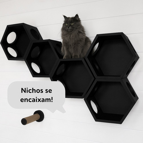 Kit 3 Nichos Cat Hexagonal Bitgame Preto